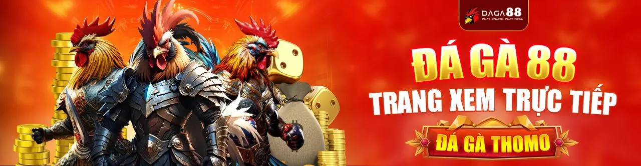 Đá Gà Trực Tiếp 678win login - Sân Đấu Sống Động